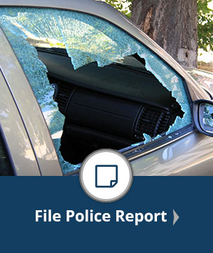 File a Police Report